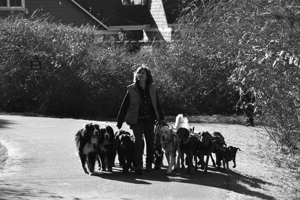 Revitalizing endangered species: a landowner"s essential guide to restoring natural habitats in the uk